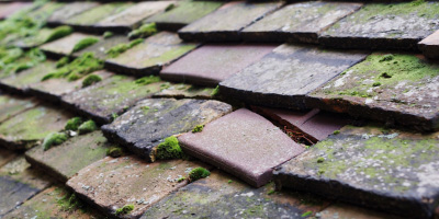 Craven Arms roof repair costs